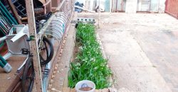 4 Bedroom House for Sale in Judiths Paarl