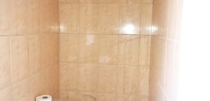 RARE OPPURTUNITY FOR INVESTORS AND ENTREPRENEURS – GOOD ROI – (RETURN ON INVESTMENT)