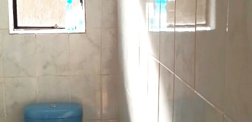 Welcome to our friendly neighborhood!