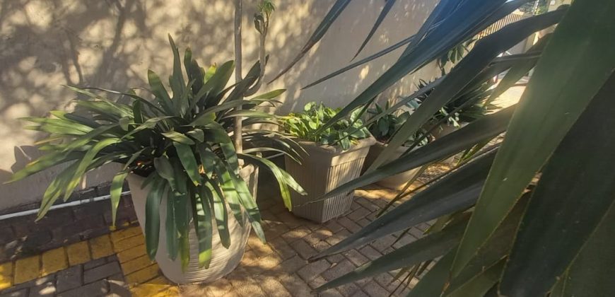 A place of paradise in your hands