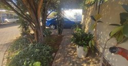 A place of paradise in your hands