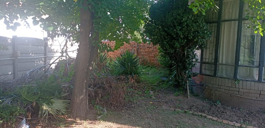 Welcome to our friendly neighborhood!