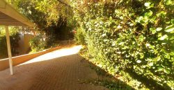 A place of paradise in your hands