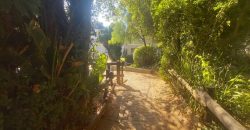 A place of paradise in your hands