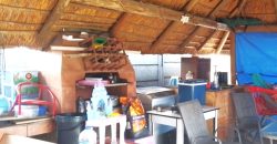 Welcome to our friendly neighborhood!