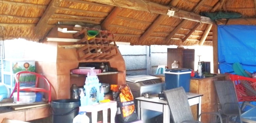 Welcome to our friendly neighborhood!