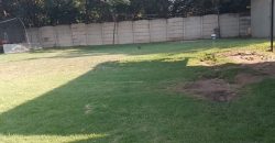 Welcome to our friendly neighborhood!