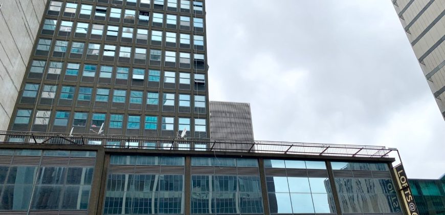 One of kind unit up for grabs in Johannesburg Central