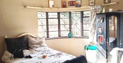 Welcome to our friendly neighborhood!