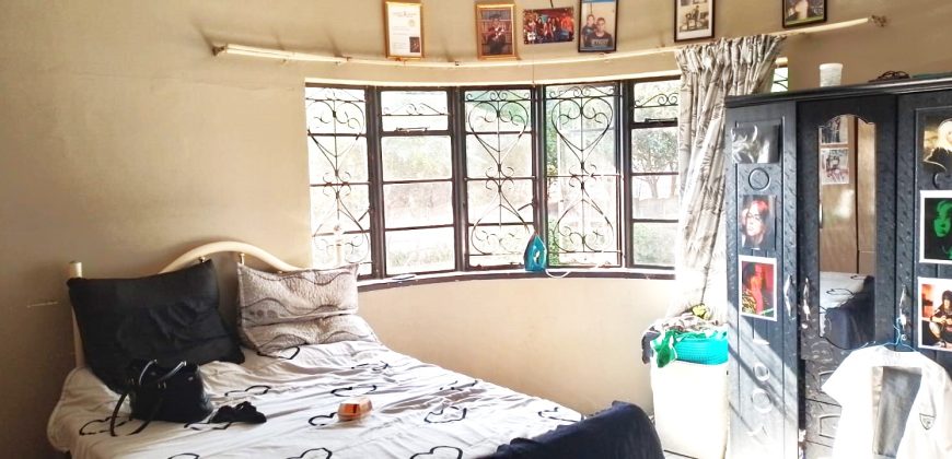 Welcome to our friendly neighborhood!