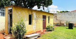 Comfortable living in Kensington.