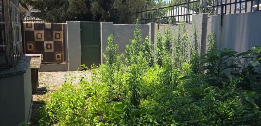 Comfortable family living or investment potential in Kensington.