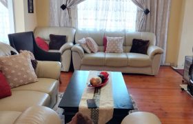 Investment Property with Excellent Income Potential