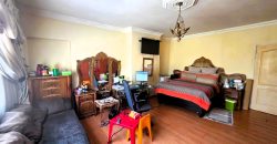 Spacious Family Home with Income-Generating Potential in Troyeville