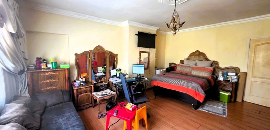 Spacious Family Home with Income-Generating Potential in Troyeville