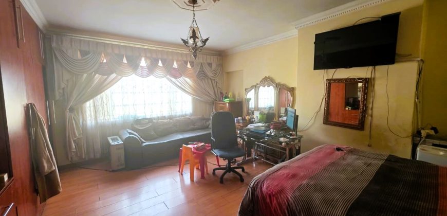 Spacious Family Home with Income-Generating Potential in Troyeville