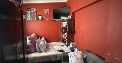 Fixer-Upper with Cottage in Bezuidenhout Valley