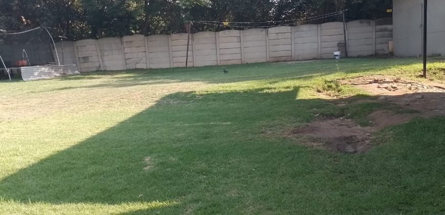 Welcome to our friendly neighborhood!