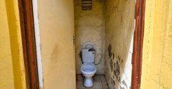 Spacious Family Home with Income-Generating Potential in Troyeville