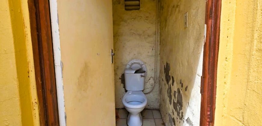 Spacious Family Home with Income-Generating Potential in Troyeville