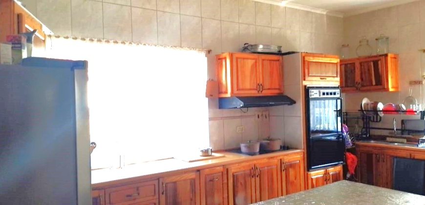 Welcome to our friendly neighborhood!