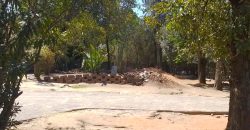 4-Bedroom Home with Income Potential and Rental Opportunities