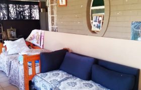 Welcome to our friendly neighborhood!