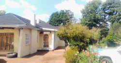 Family home in Lambton with a 2 bed cottage