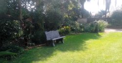 Family home in Lambton with a 2 bed cottage