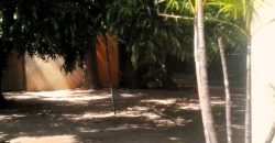 Family home in Lambton with a 2 bed cottage