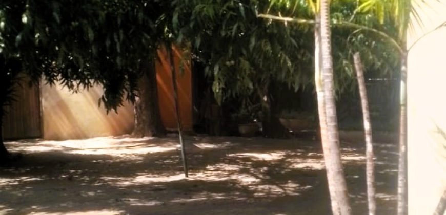 Family home in Lambton with a 2 bed cottage