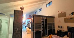 Spacious large home spread over double plot