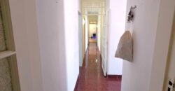 Spacious family home with a separate cottage in Cyrildene