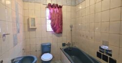 Spacious family home with a separate cottage in Cyrildene