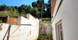 Spacious family home with a separate cottage in Cyrildene
